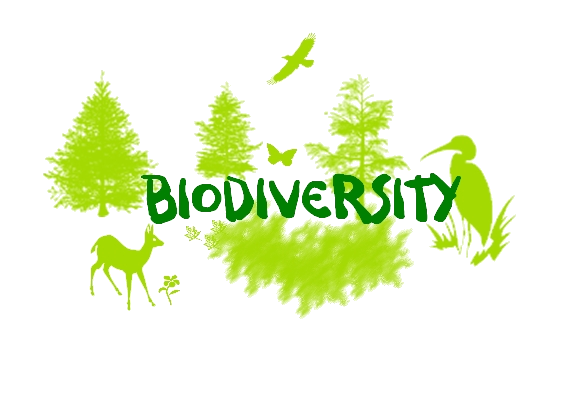 biodiversity