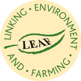leafmarqueebrief